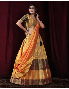 Chiku Kanjivaram silk Lehenga 