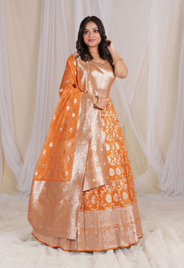Gold Banarasi Silk Gown