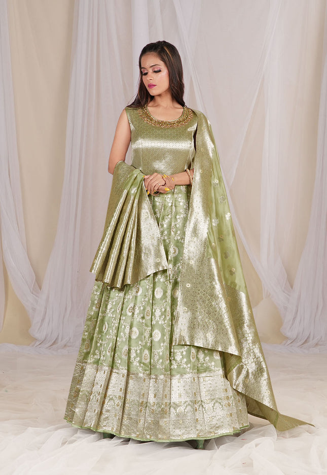 Pista Banarasi Silk Gown