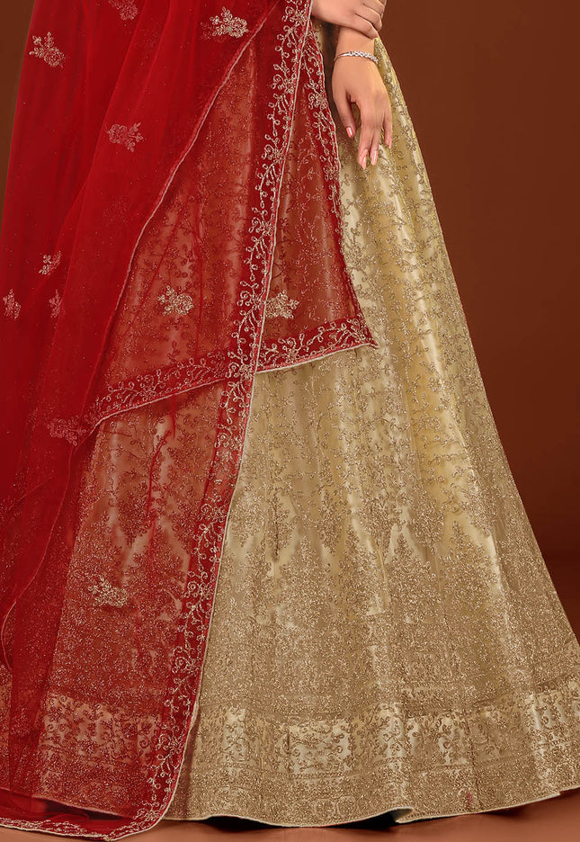 Chiku Party wear Net Lehenga