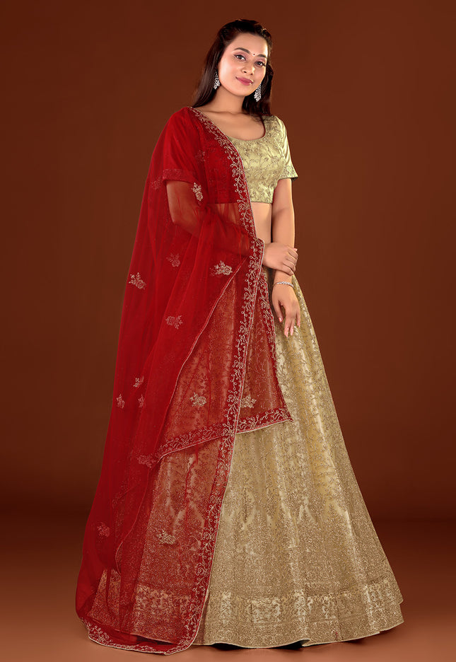 Chiku Party wear Net Lehenga
