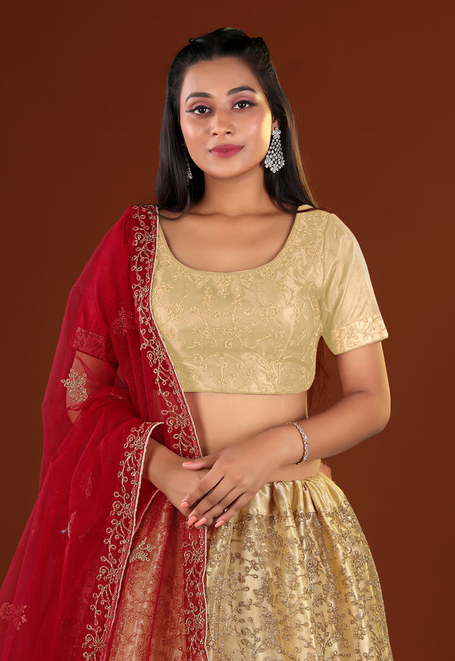Chiku Party wear Net Lehenga