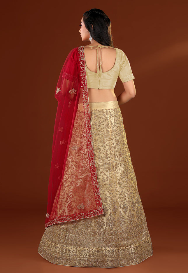 Chiku Party wear Net Lehenga
