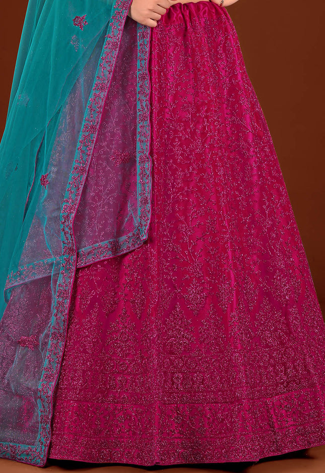 Rani Party wear Net Lehenga Choli for Women