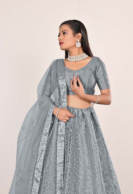 Gray Net Party wear Lehenga