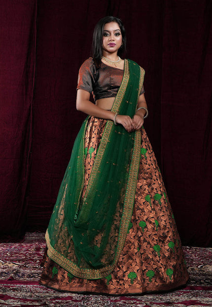 Black Banarasi Silk Half Saree