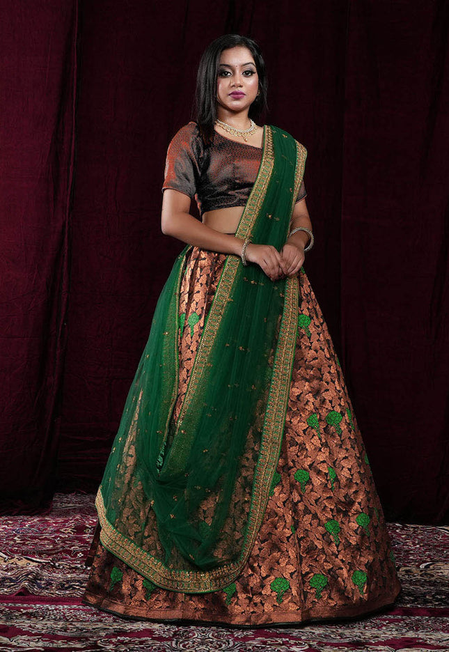 Black Banarasi Silk Half Saree