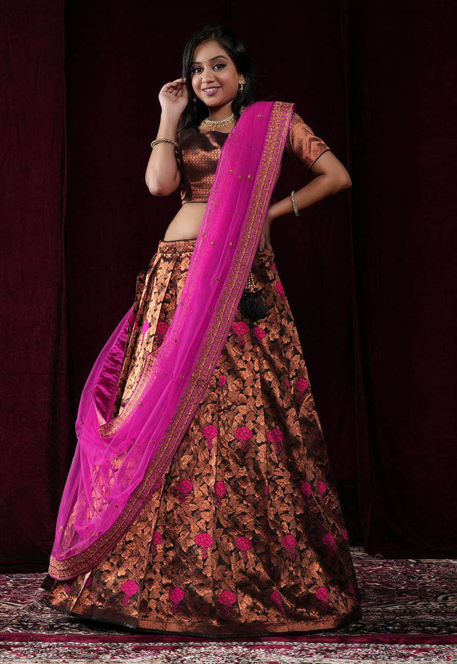 Black Banarasi Silk Half Saree