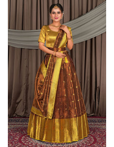 Woman wearing a traditional gold and brown lehenga choli with dupatta