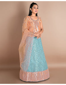 Peach Net Lehenga Choli