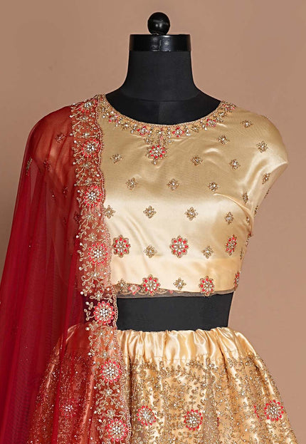 Chiku Designer Net Lehenga