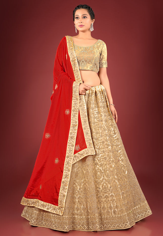 Chiku Party Net Lehenga