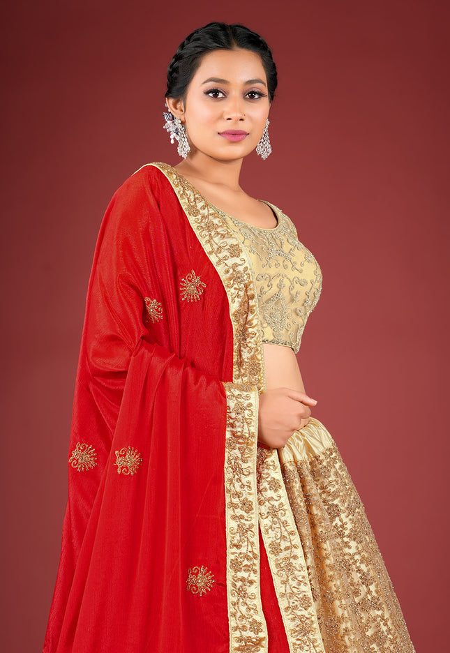 Chiku Party Net Lehenga