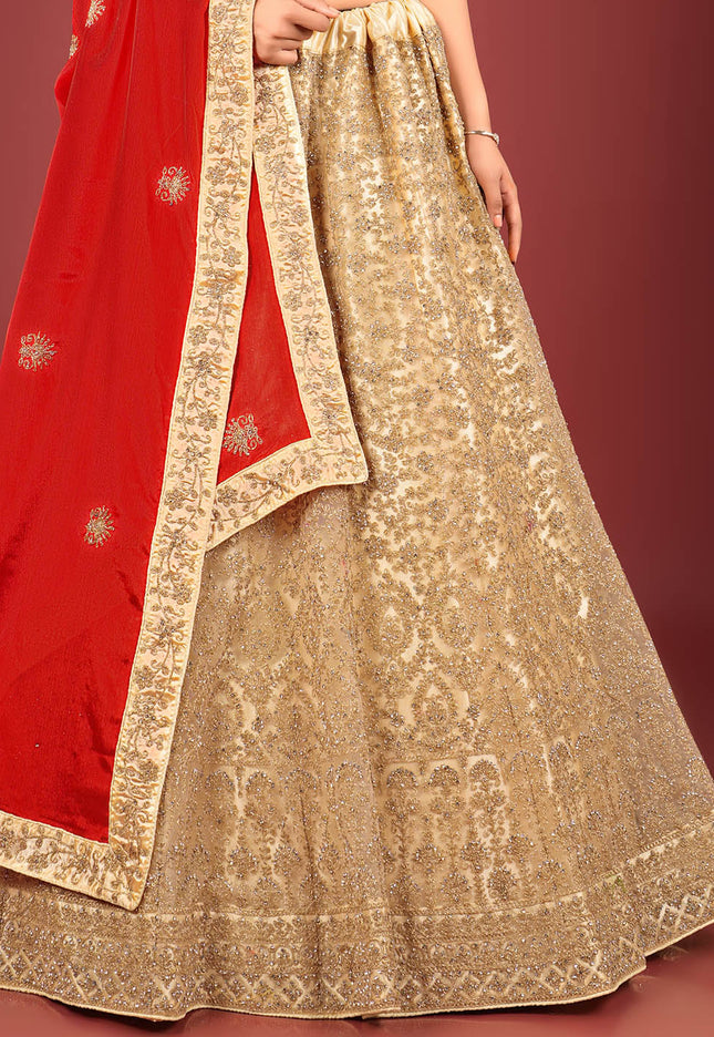 Chiku Party Net Lehenga