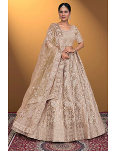 Chiku Velvet Lehenga Choli With Net Dupatta For Women