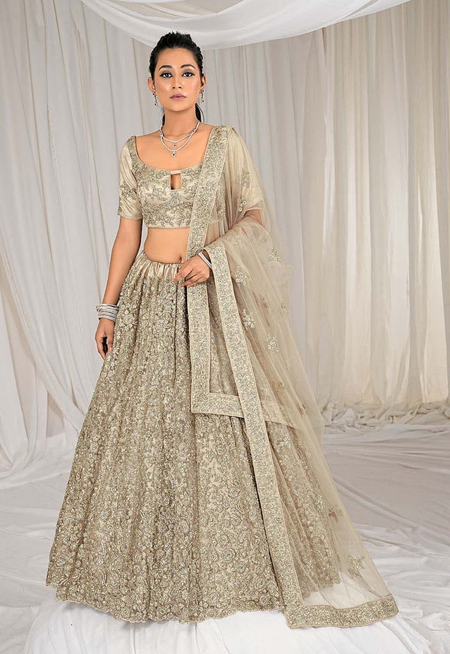 Chiku Net Lehenga Choli 