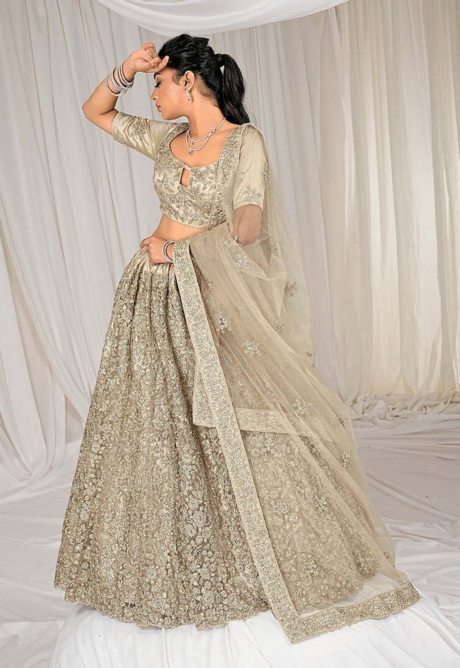 Chiku Net Lehenga Choli 