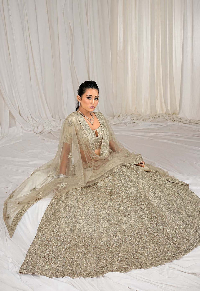 Chiku Net Lehenga Choli 