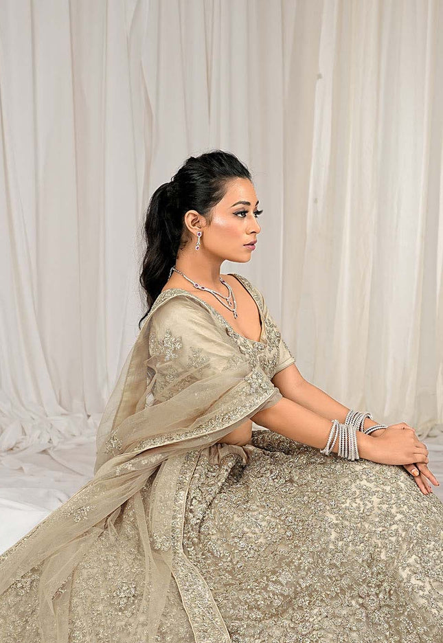 Chiku Net Lehenga Choli 