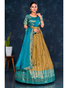 Chiku Banarasi Designer Half Saree For Women