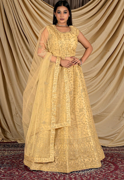 Chiku Colour Net Crop Top Lehenga Choli Gajiwala