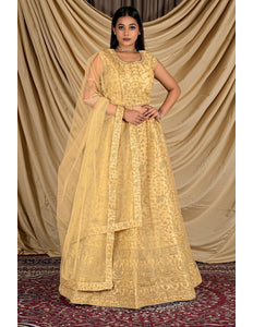 Chiku Colour Net Crop Top Lehenga Choli Gajiwala