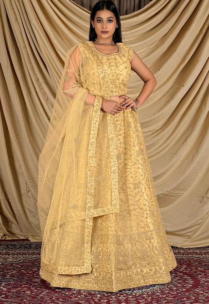 Chiku Colour Net Crop Top Lehenga Choli