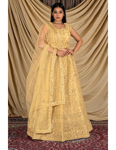 Chiku Colour Net Crop Top Lehenga Choli