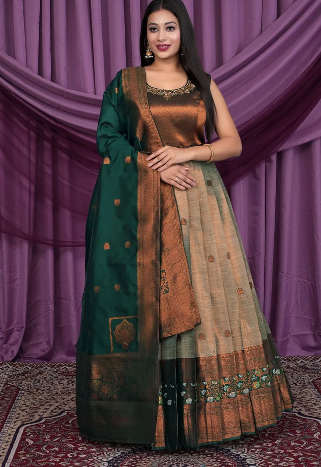 Chiku Designer Banarasi Gown With Dupatta