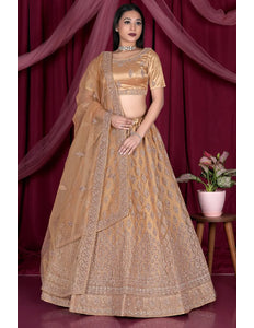 Chiku Embroidery Work Net Lehenga Choli