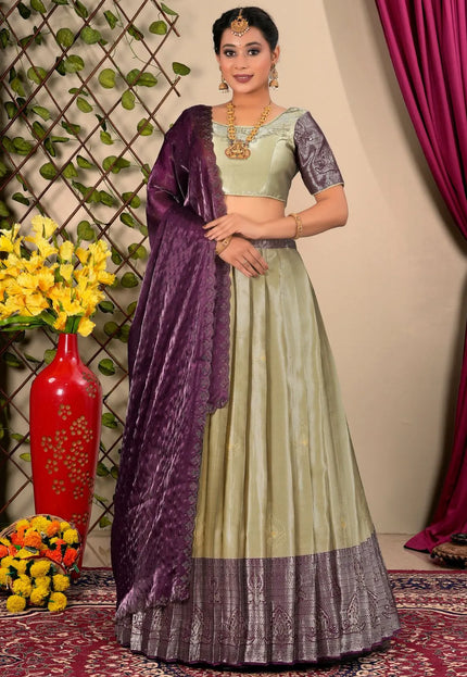 Chiku Jacquard Silk Half Saree For Women