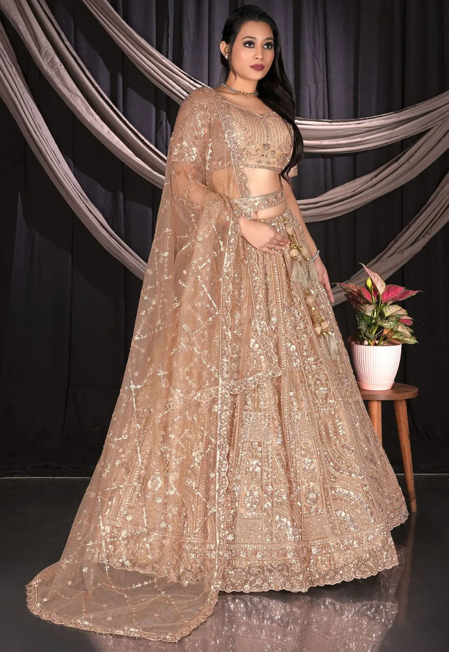 Chiku Party-wear Net Lehenga Choli For Wedding