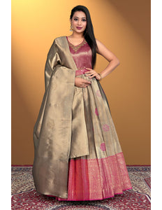 Woman wearing a traditional chiku gown with dupatta
