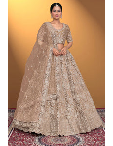 Chiku Velvet Lehenga Choli With Net Dupatta For Women