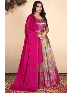 Chiku Zari Silk Zari Woven Gown With Dupatta