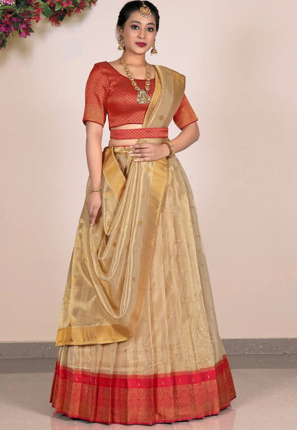 Chiku tissue Fabric Pattu Pavadai For Women