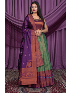 Woman wearing a traditional saree with a purple and green pattern
