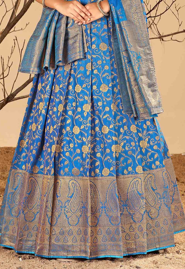 Firozi Long Dress Banarasi Silk Zari Weaving