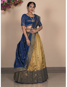 Woman wearing a traditional blue and gold lehenga choli