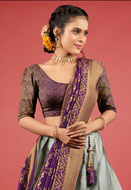 Gray Banarasi Lehenga Choli