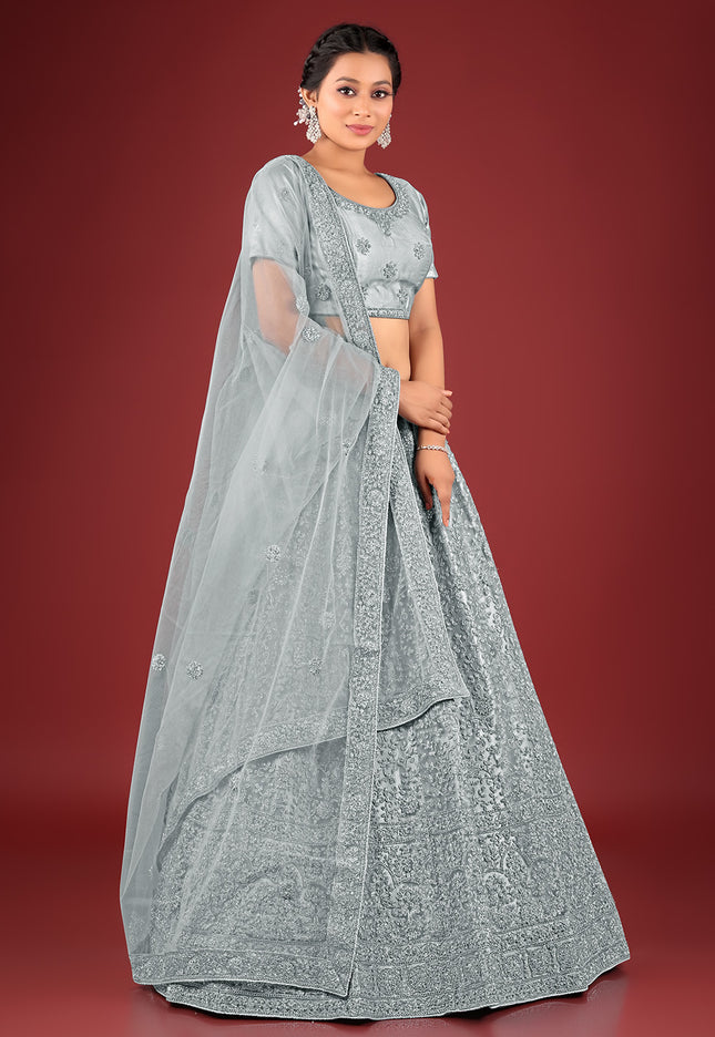 Gray Net Lehenga Choli