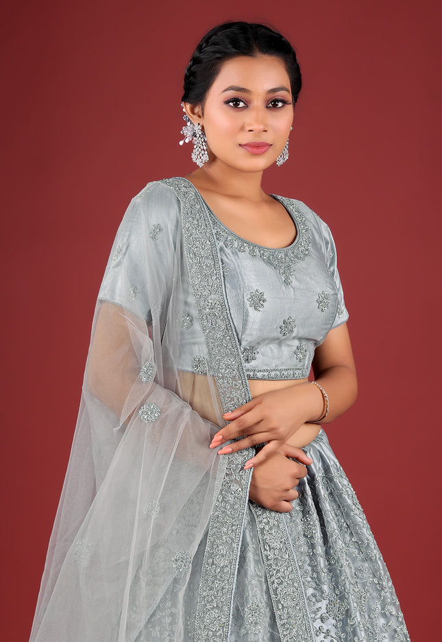 Gray Net Lehenga Choli