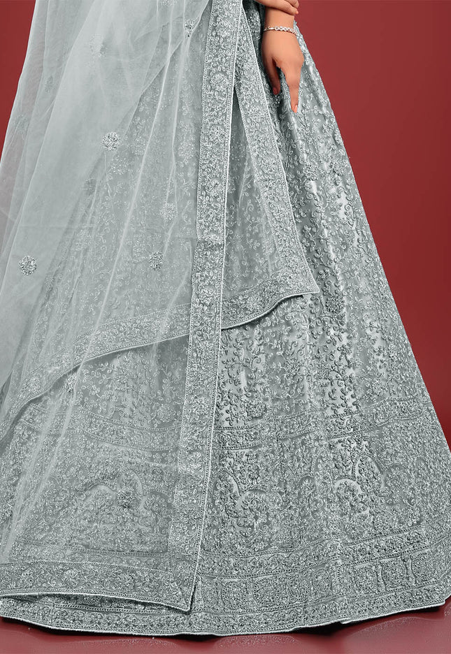 Gray Net Lehenga Choli