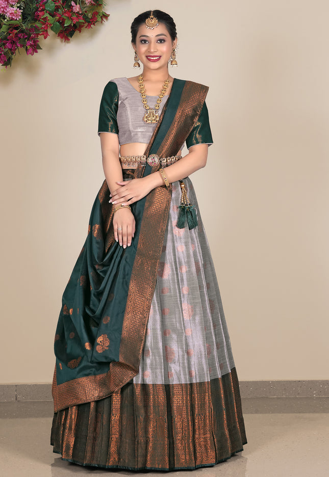 Woman wearing a traditional saree with a Gray and Green pattern