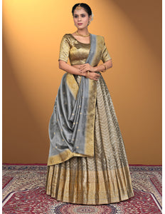 Woman wearing a traditional lehenga choli with a gold and gray pattern
