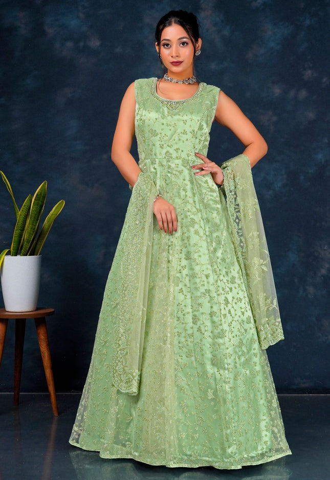 Woman wearing a light green traditional outfit, a Net Gown For Women