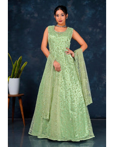 Woman wearing a light green traditional outfit, a Net Gown For Women