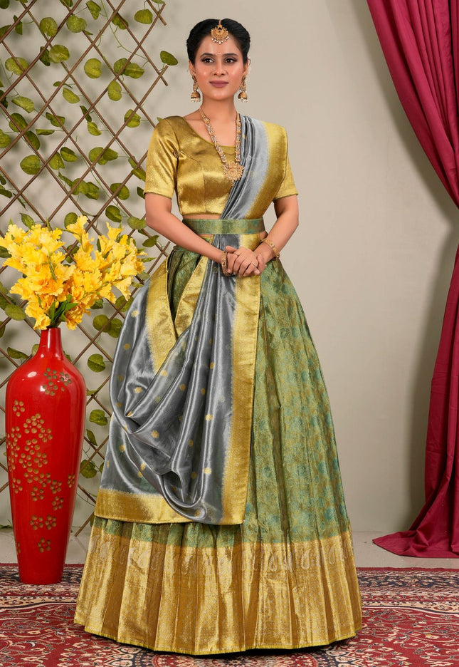 Woman in a traditional outfit with a lehenga choli with dupatta