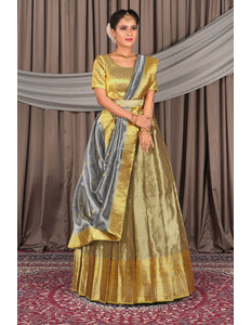 Woman wearing a traditional gold and silver lehenga choli with dupatta