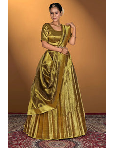 Liril Pure Two Tone Zari Tissue Lehenga Choli